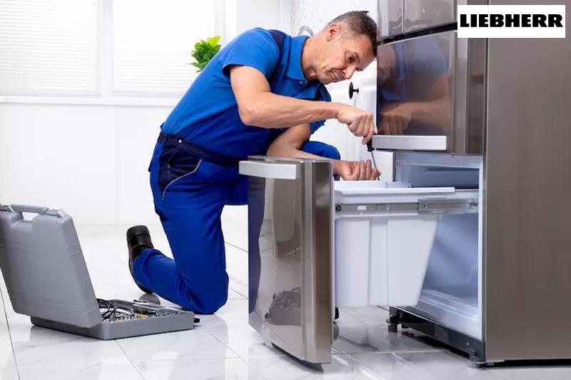 صيانة ديب فريزر ليبهير